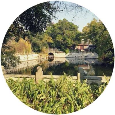 植物大战僵尸冰雪破解版下载