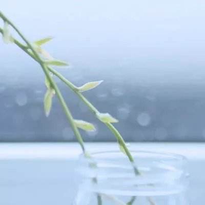 御剑诛仙唯美版手游下载